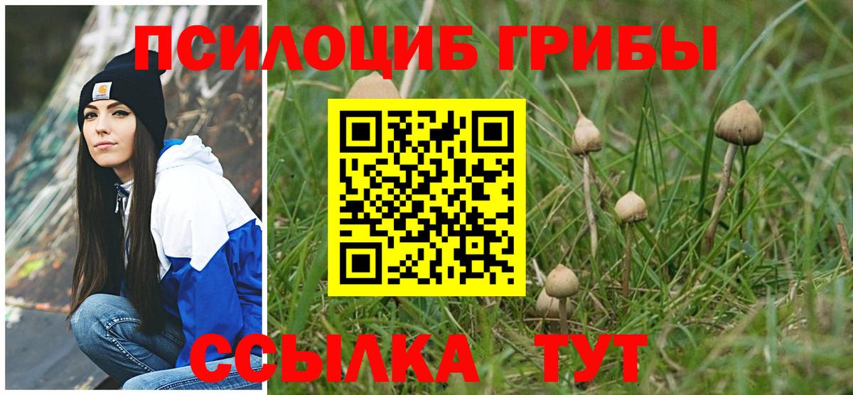 Саров  Псилоцибиновые грибы ЛСД  что такое   Вход с VPN 